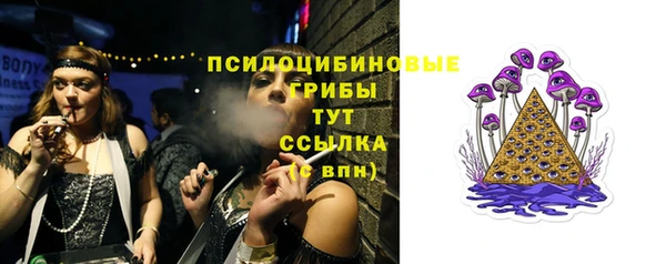 прущий лед Дмитров